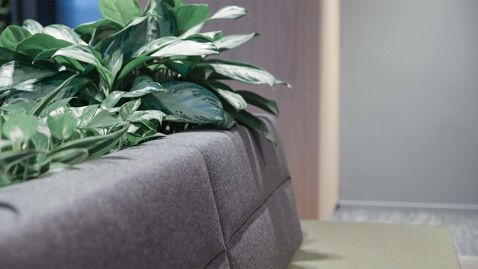 Maaskant - LotusB - werken - kantoorgebouw - meubilair - hal - bank - planten