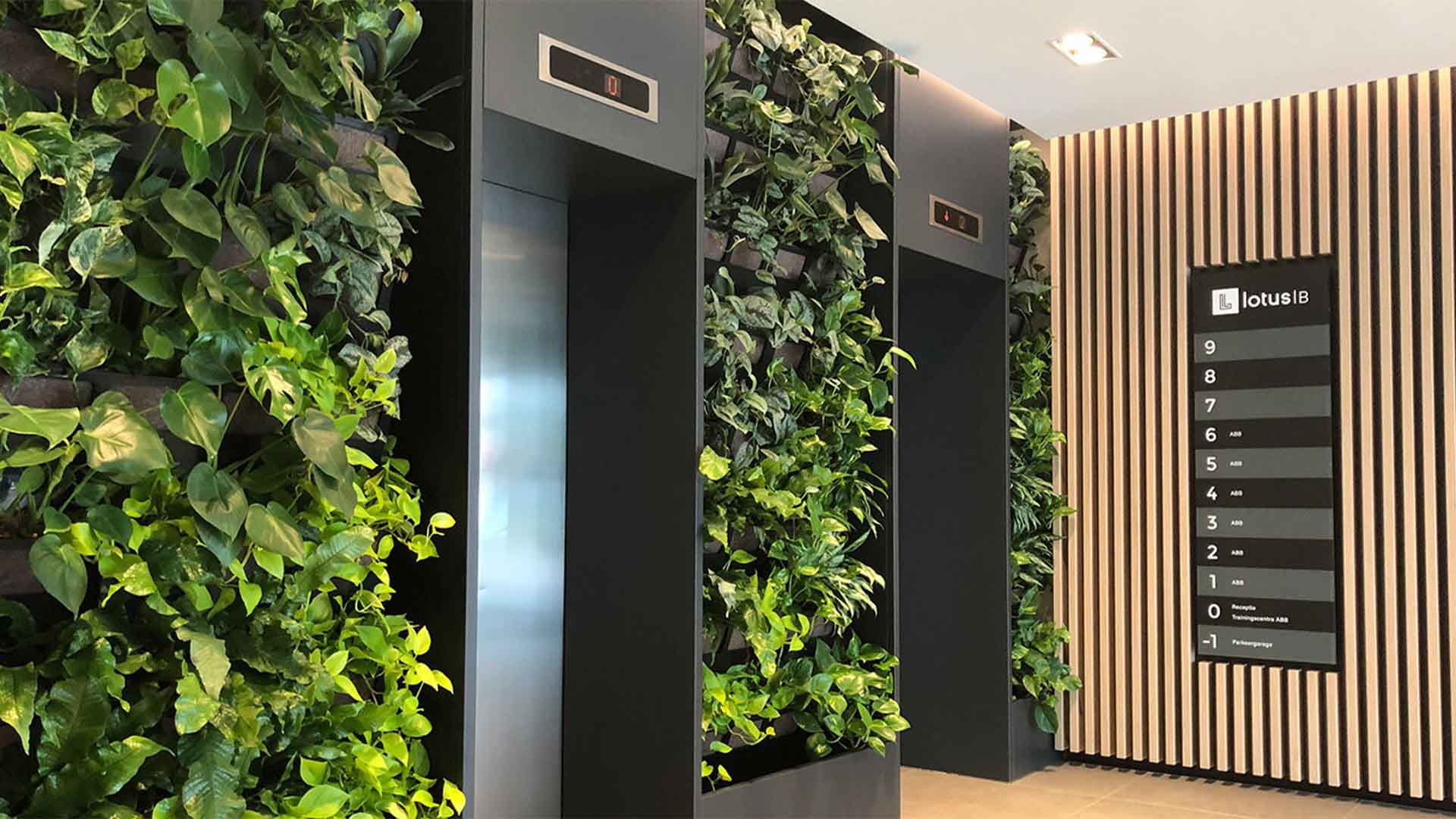 Maaskant - LotusB - werken - kantoorgebouw - meubilair - hal - lift - groenwand